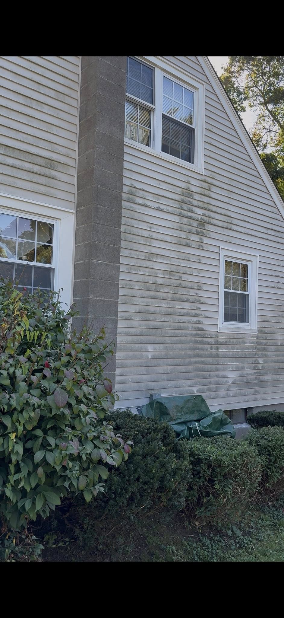 Gray-sided house exterior with white-trimmed windows, bushes, and trees in front
