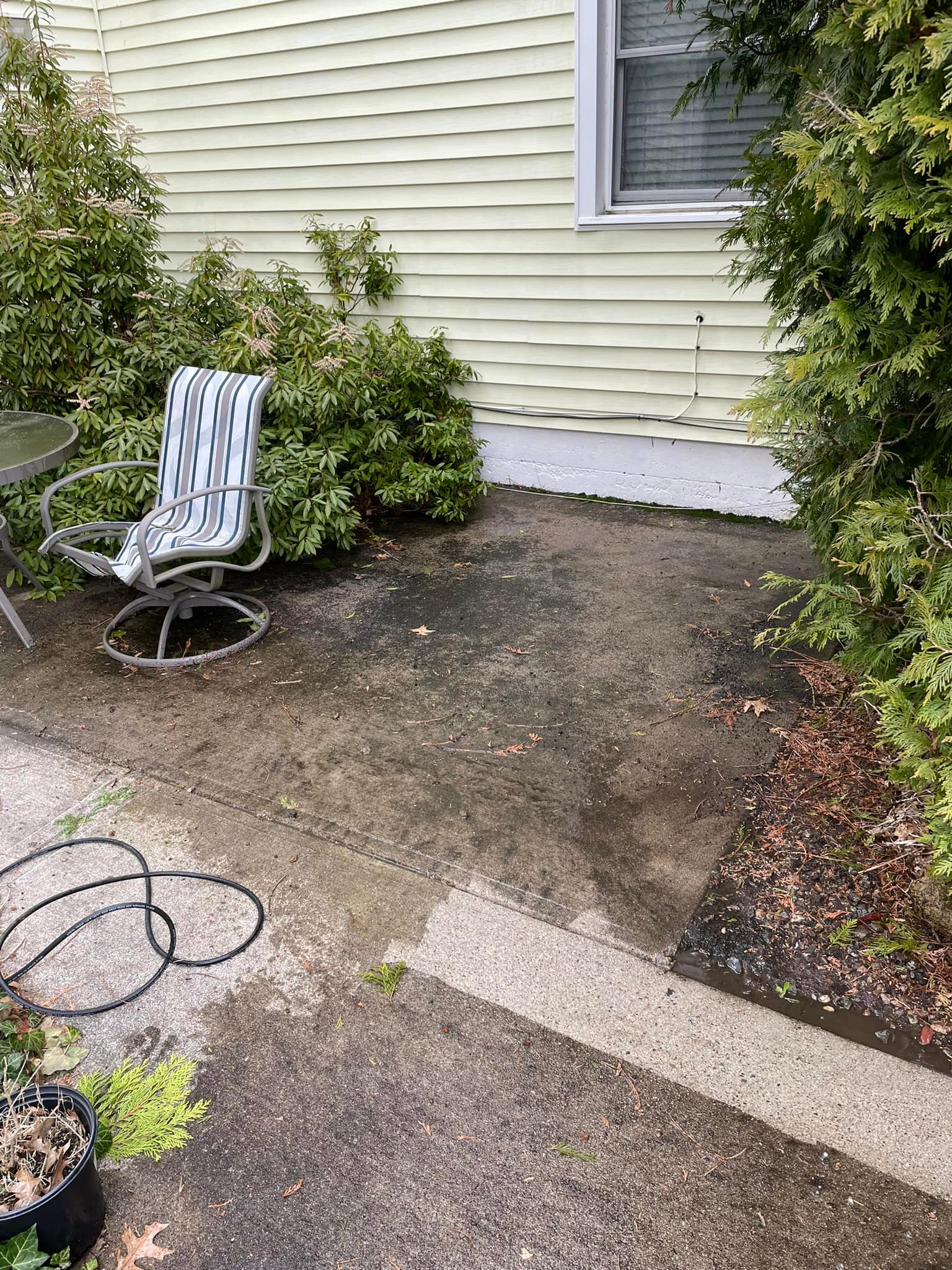 Small backyard patio with a chair, shrubs, and a window on a beige house wall