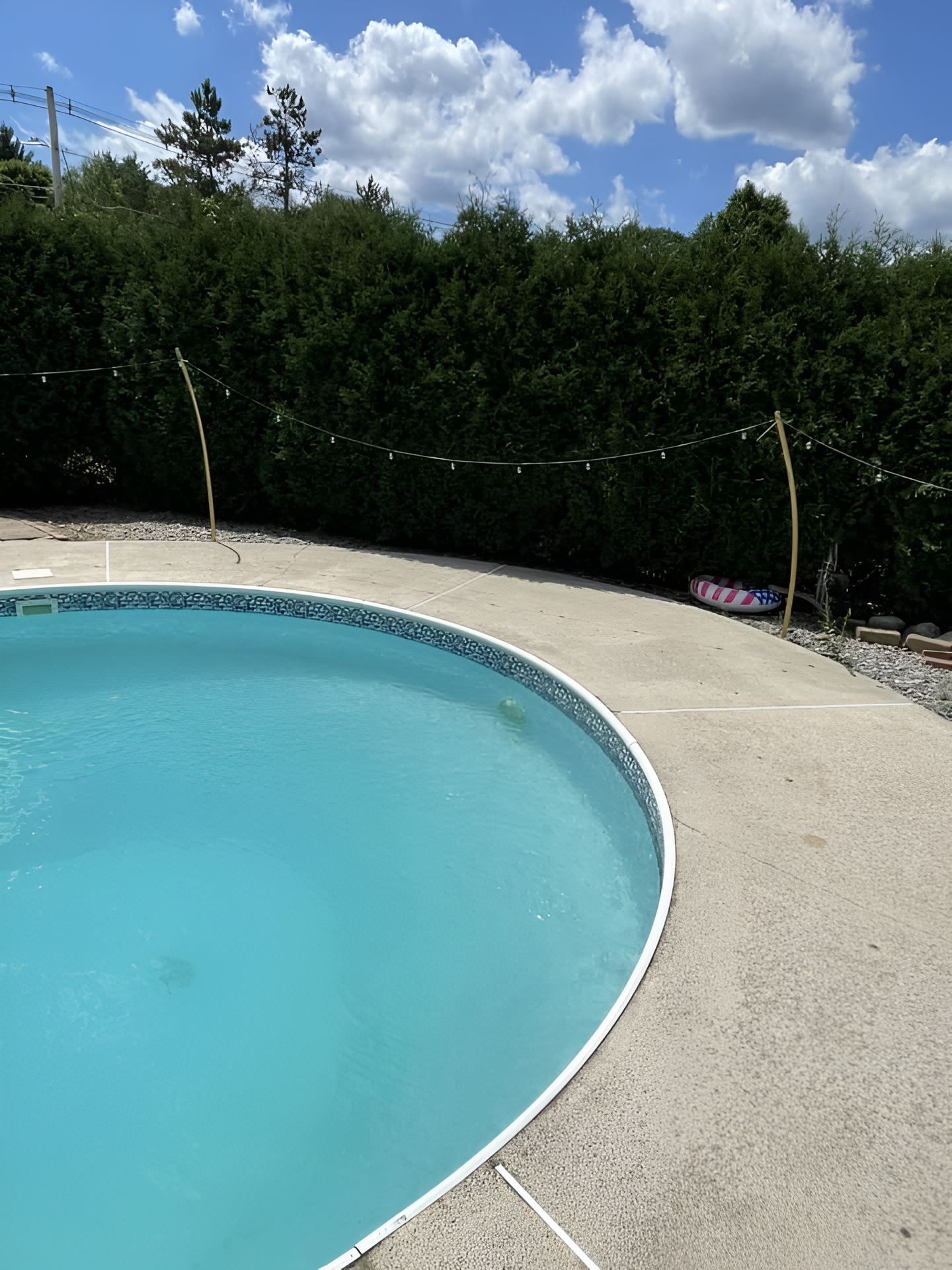 Curved backyard swimming pool with blue water, concrete deck, and lush green hedges under a cloudy sky