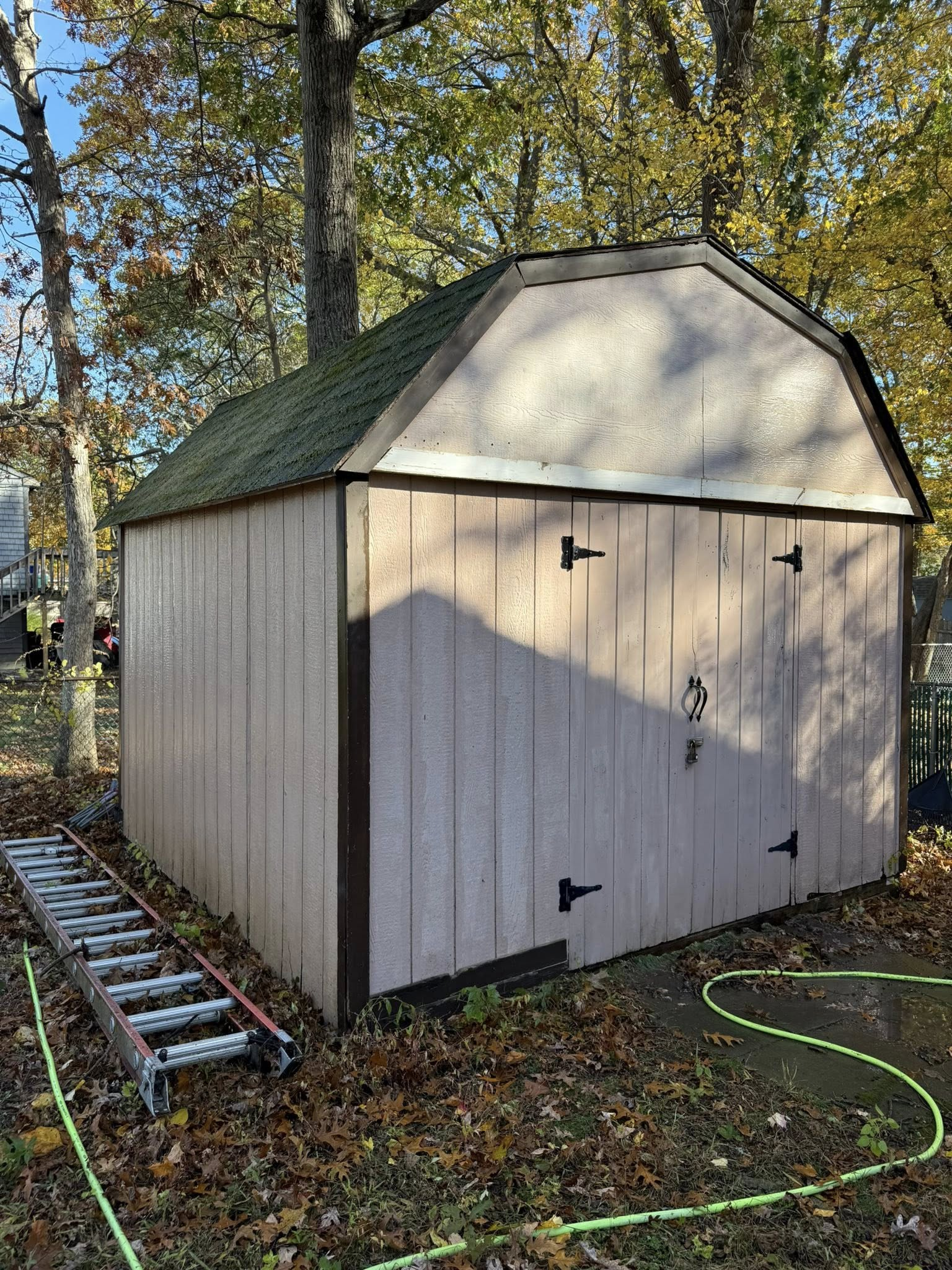 Small beige backyard shed with a green roof, surrounded by trees and fallen leaves.