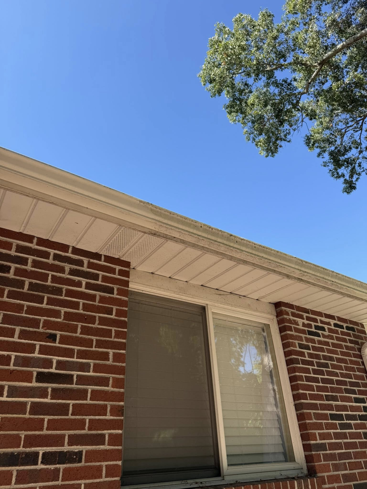 Brick house wall with a window under a blue sky and tree leaves overhead