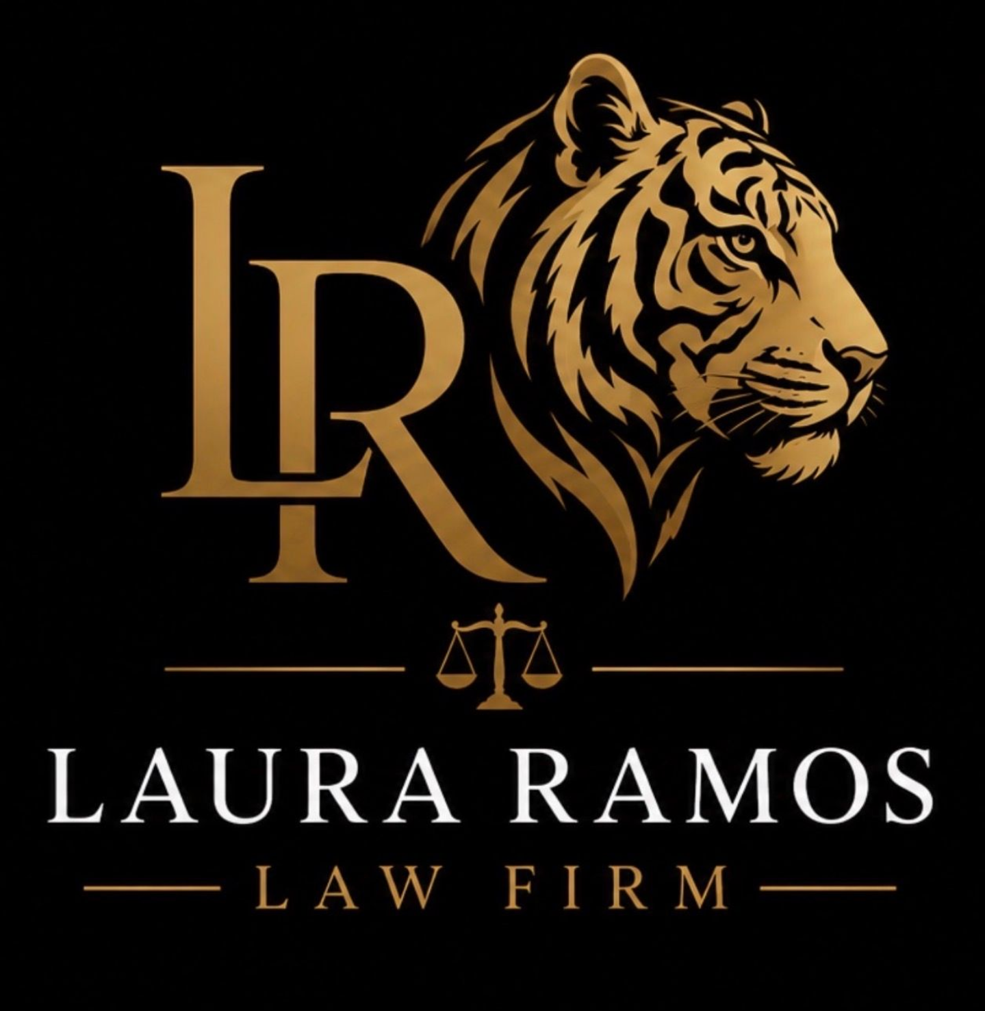 The logo for vamos law group is a team for every legal need.