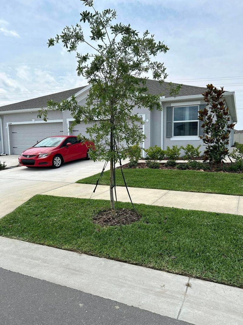 A red car parked in front of a light gray house with a tree in the yard and a gray driveway.