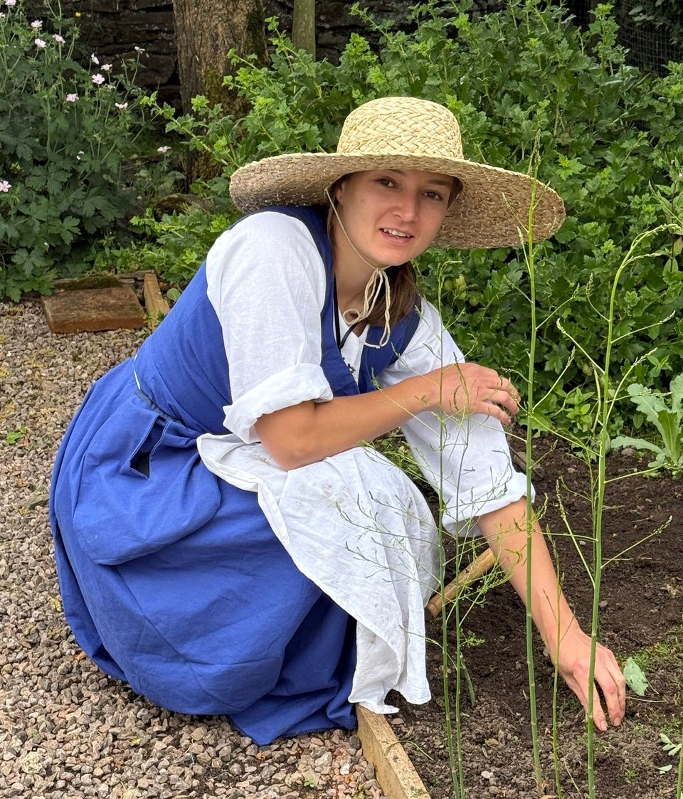 Tudor plants and herbs