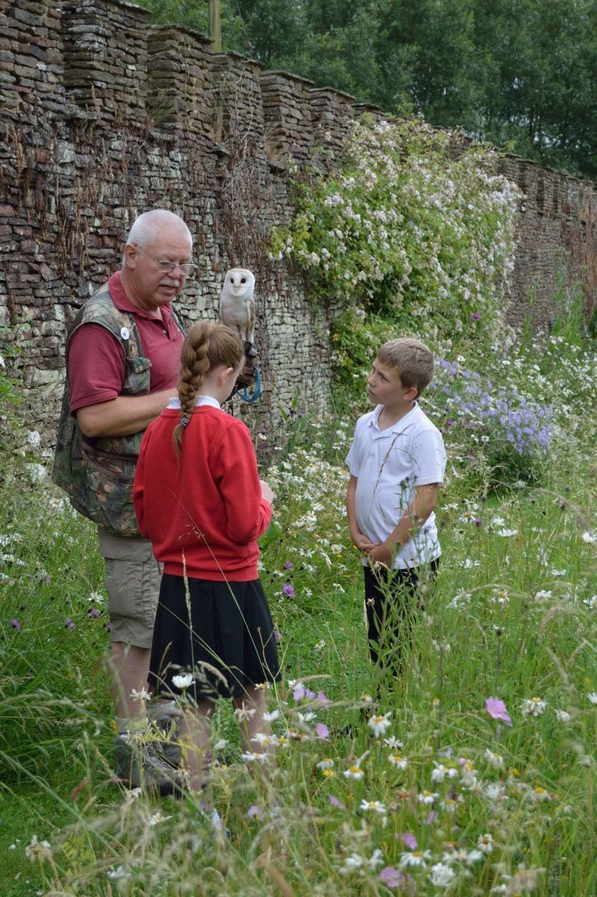 A man is holding an owl while two children look on.