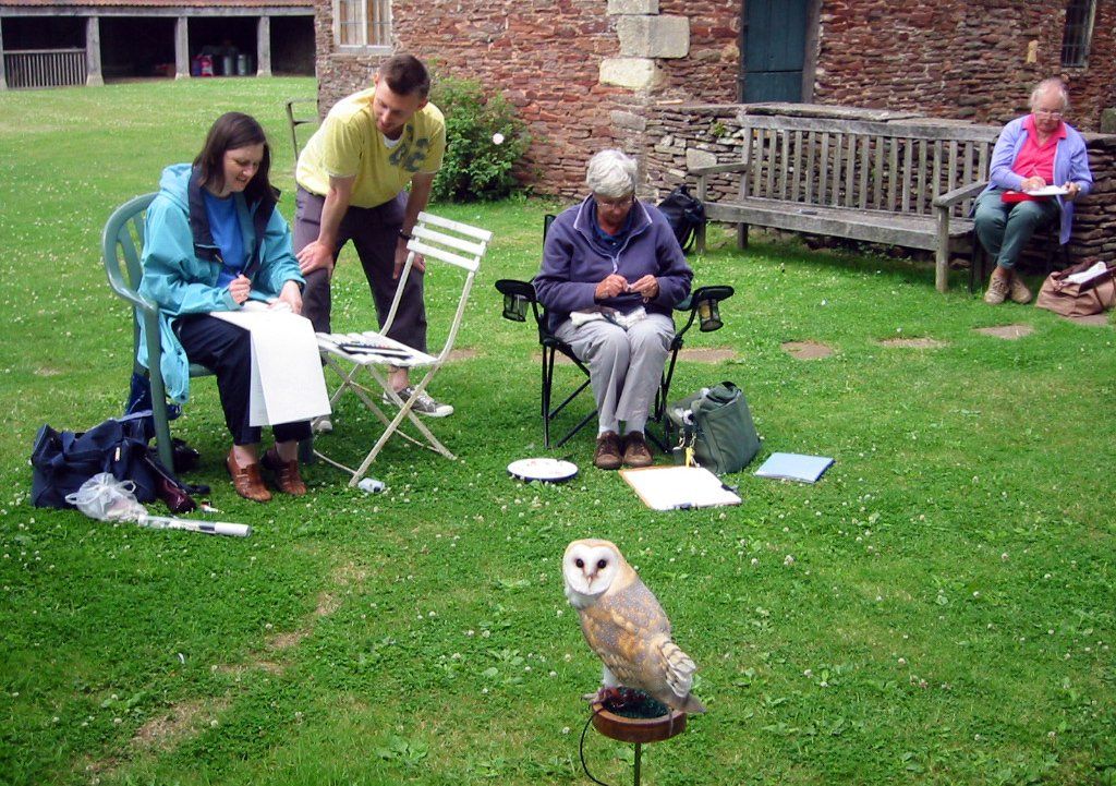 Owl sketching workshop