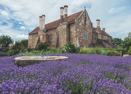  Acton Court virtual tour