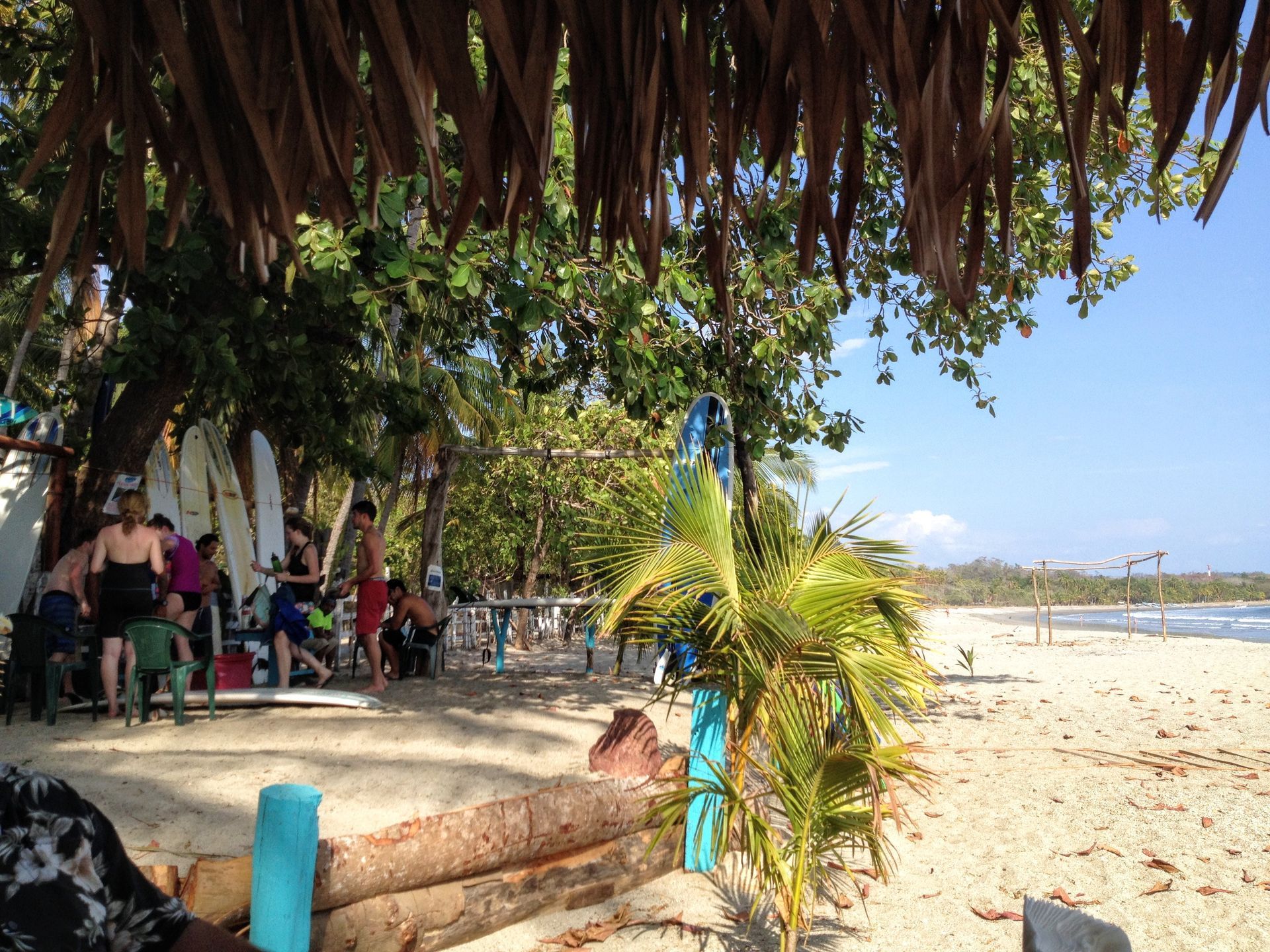 Beach scene with surfers, palm trees, thatched roof, and blue sky.
