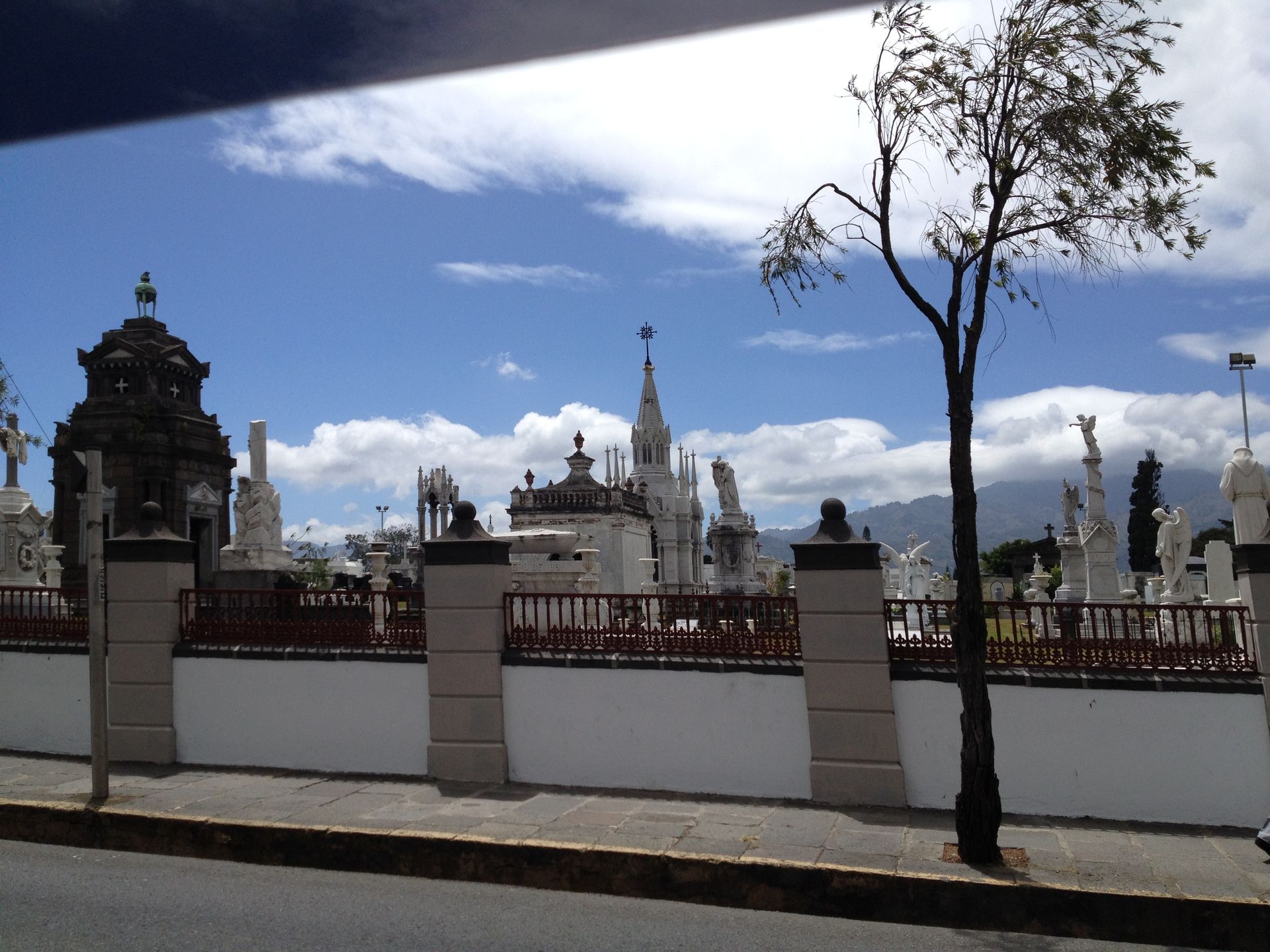 Cemetery with ornate white tombs and statues under a partly cloudy blue sky. A tree and street are in the foreground.