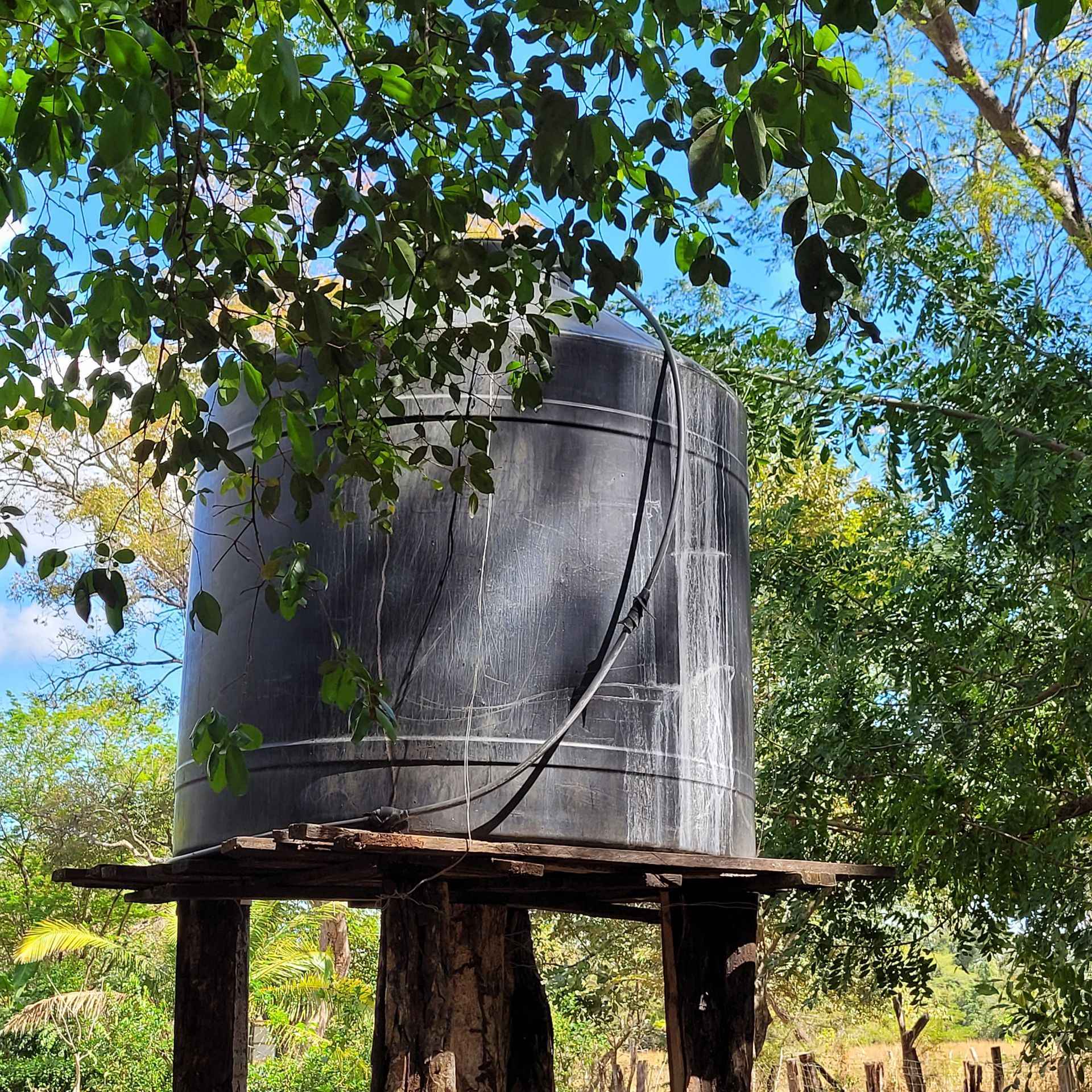 Black water tank on wooden platform under tree branches.