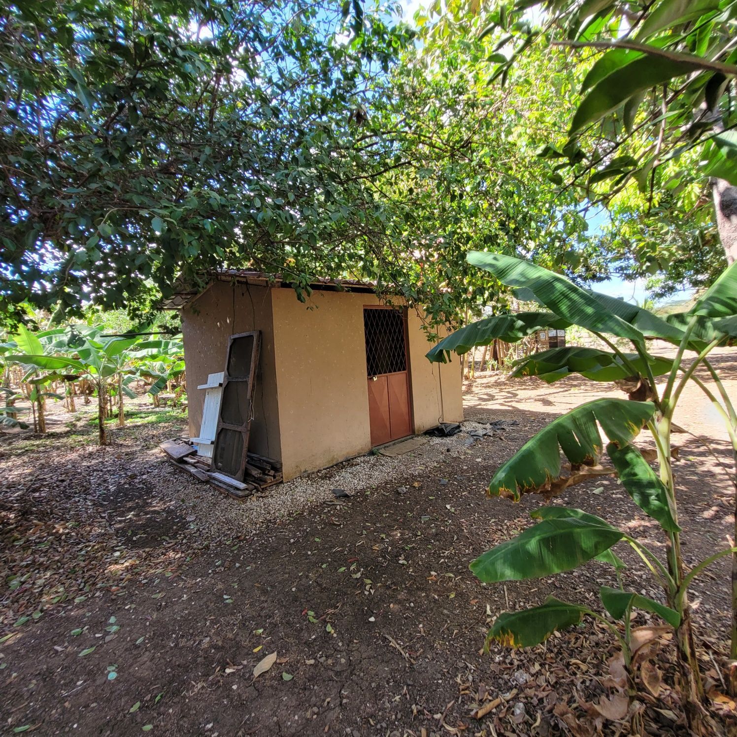 Small tan building with a brown door, under a tree in a sunny, rural setting.