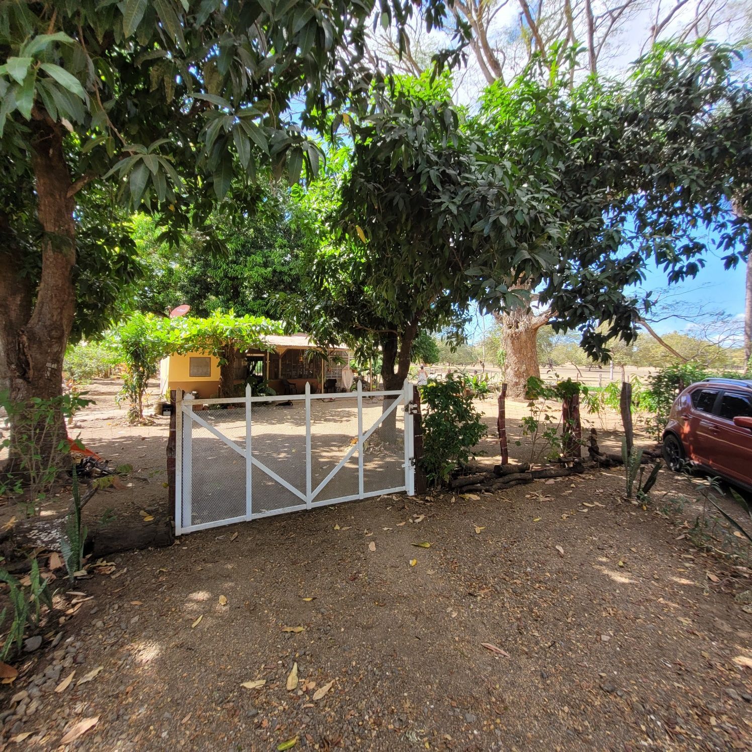Lot With Trees