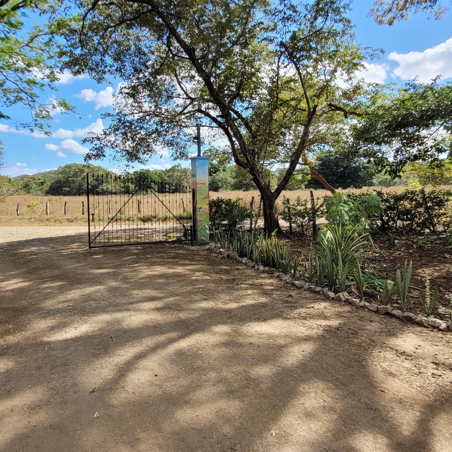 Dirt road leading to a gate, a tree shades a sign. Open field, blue sky, and clouds.