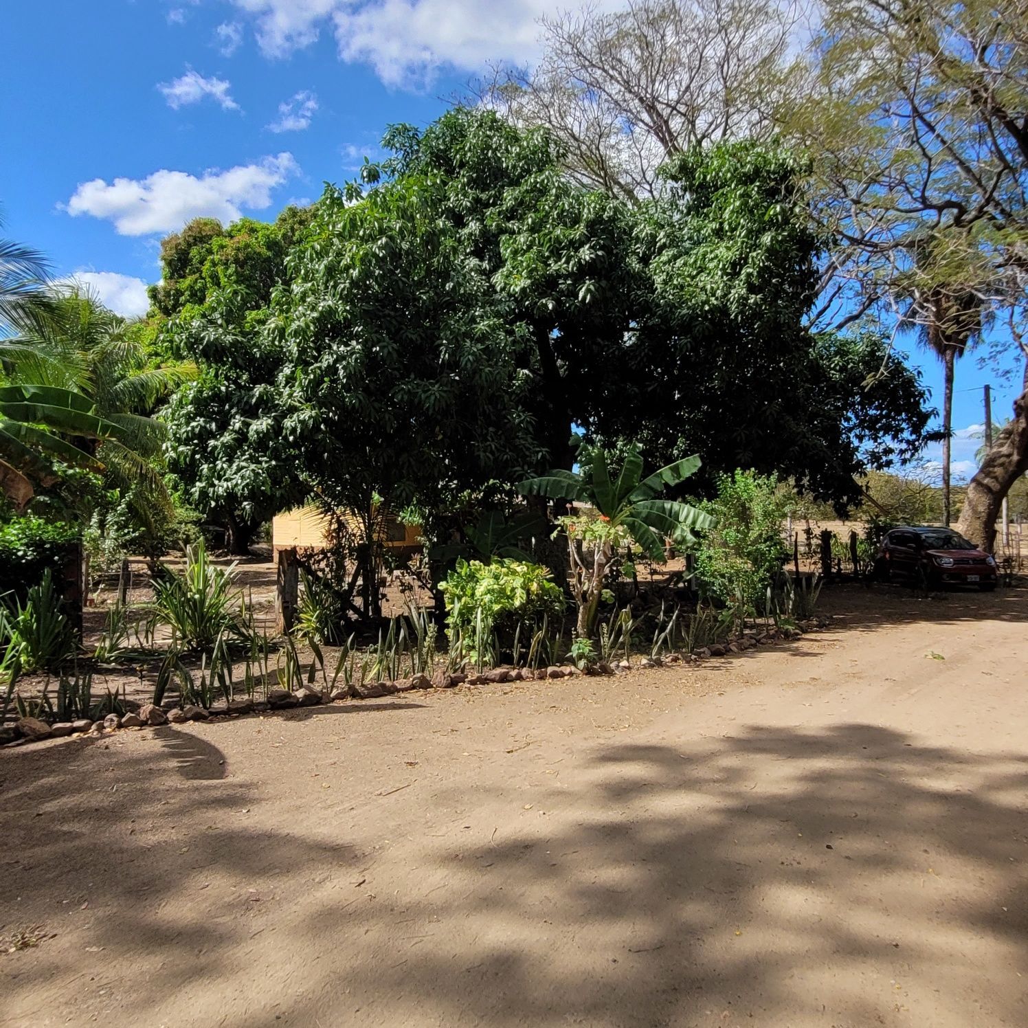A dirt road leads to a lush green yard with trees and bushes under a blue sky.