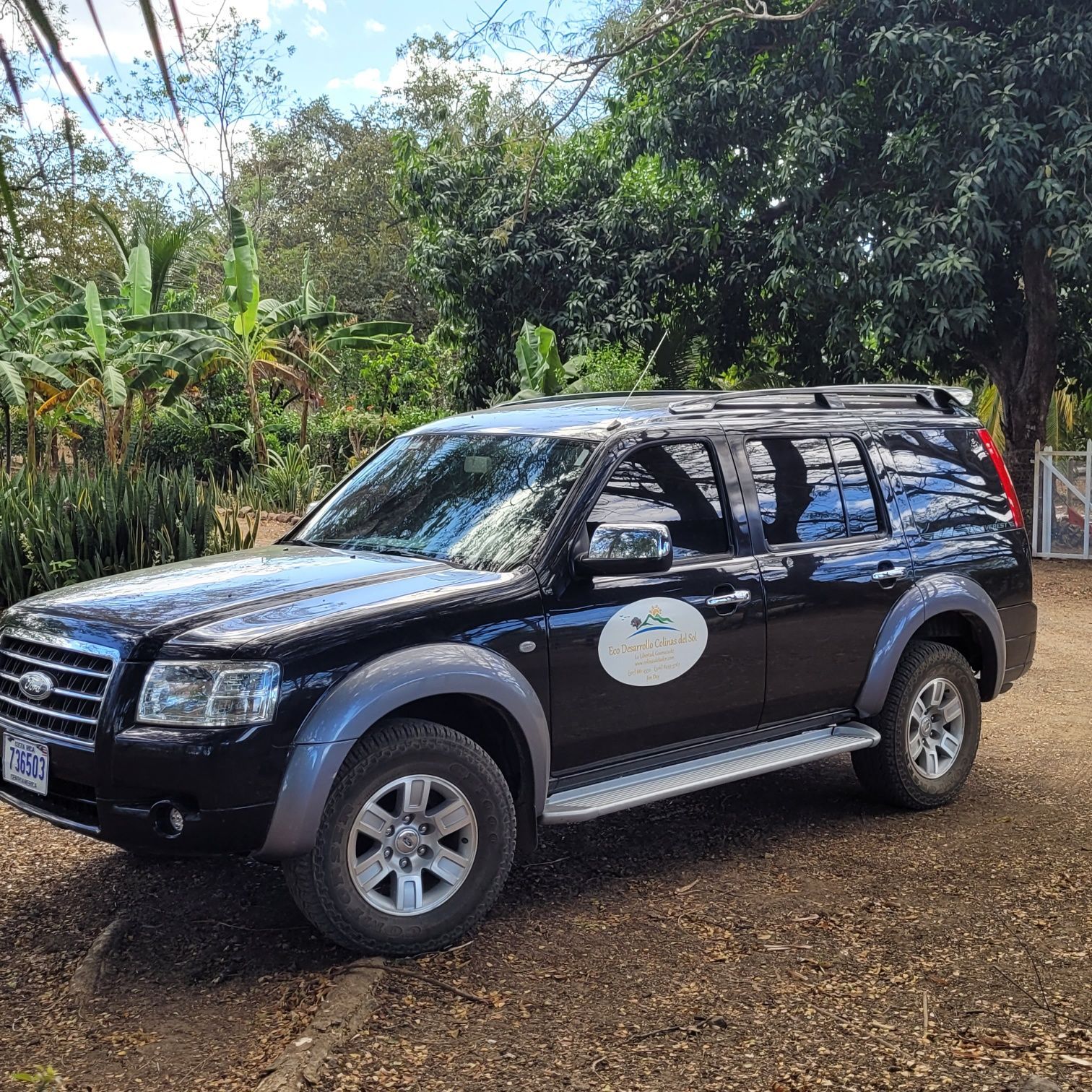 Black Ford SUV with a white logo parked in a tropical setting with trees.