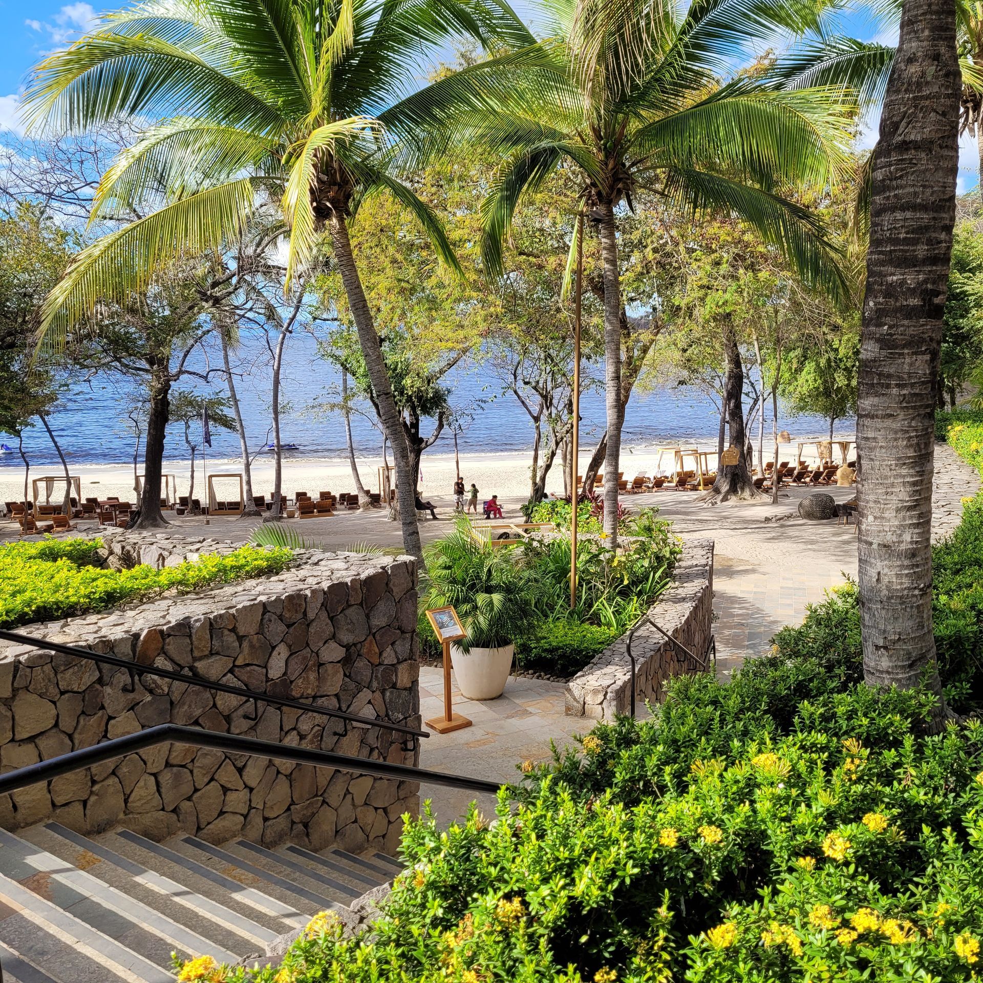 Stone steps lead to a beach path, lined with green shrubs and palm trees, overlooking a blue ocean.