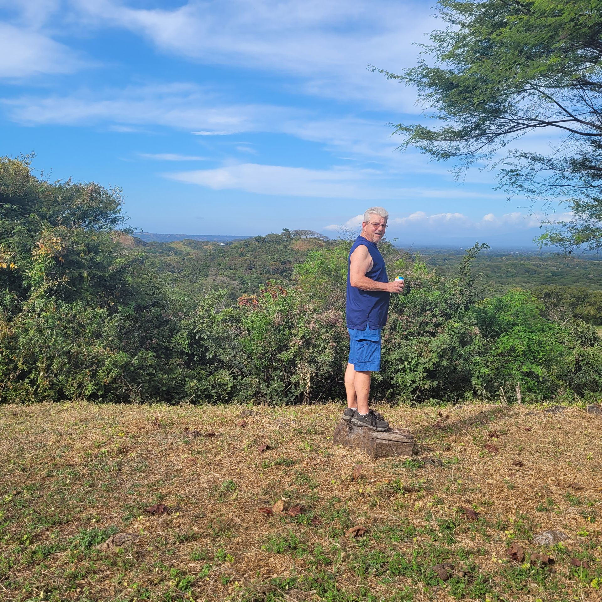 Man in blue shirt and shorts stands on a grassy hill, overlooking a green landscape and blue sky.