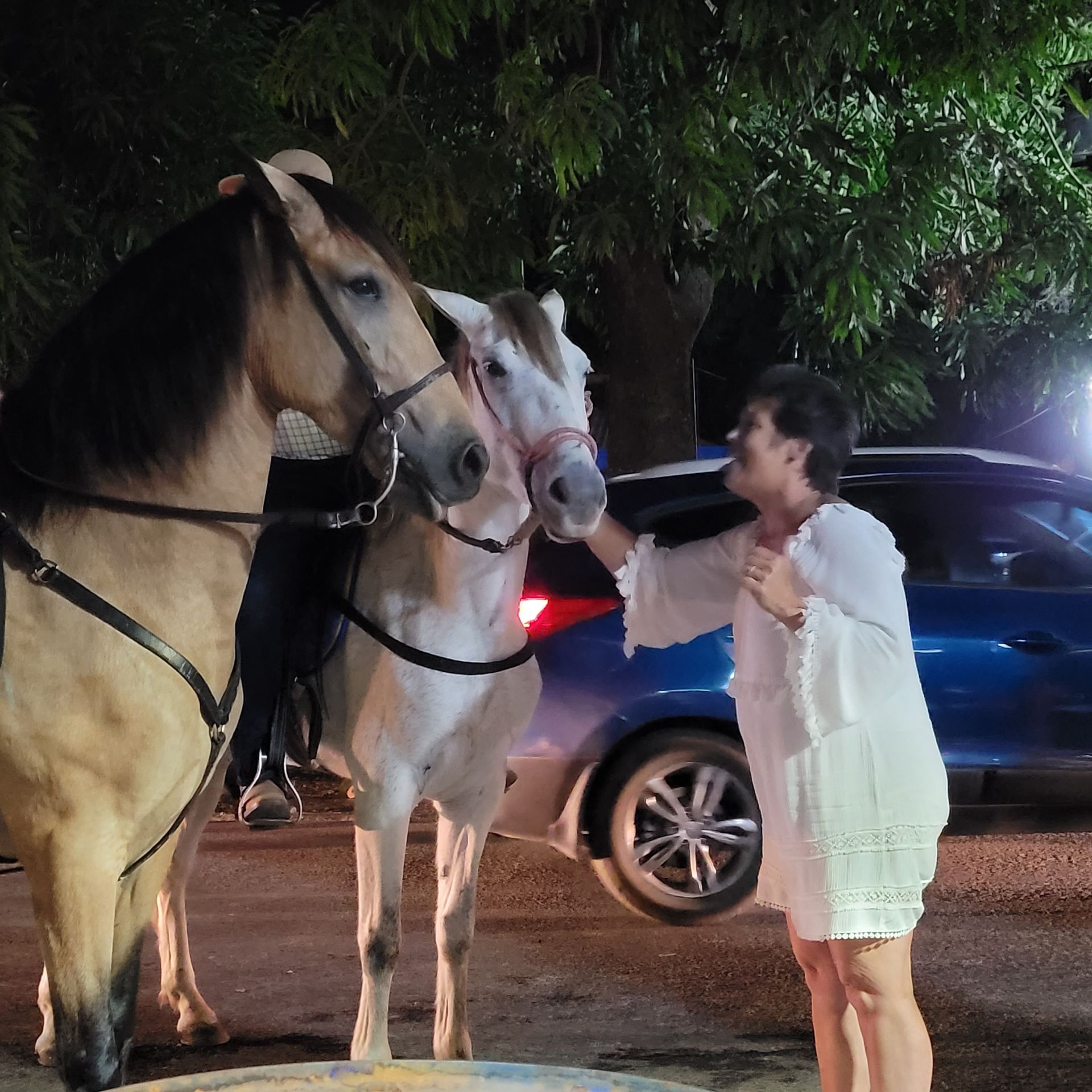 Woman petting two horses at night; one is tan, one is white; blue car in background.