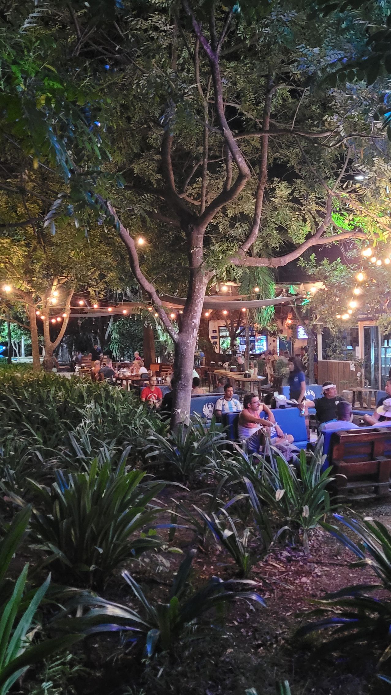 Nighttime outdoor patio with lit string lights, tables, and people under a tree.