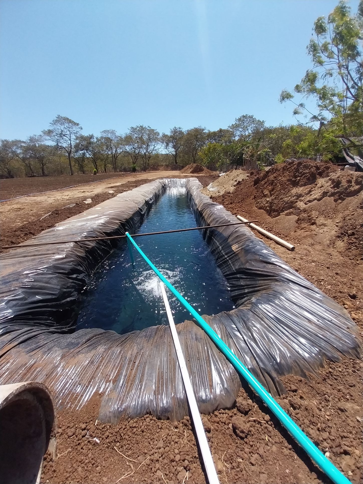 A long, water-filled trough made with a black liner; blue hose spews water. Outdoors, brown earth, trees, and blue sky.