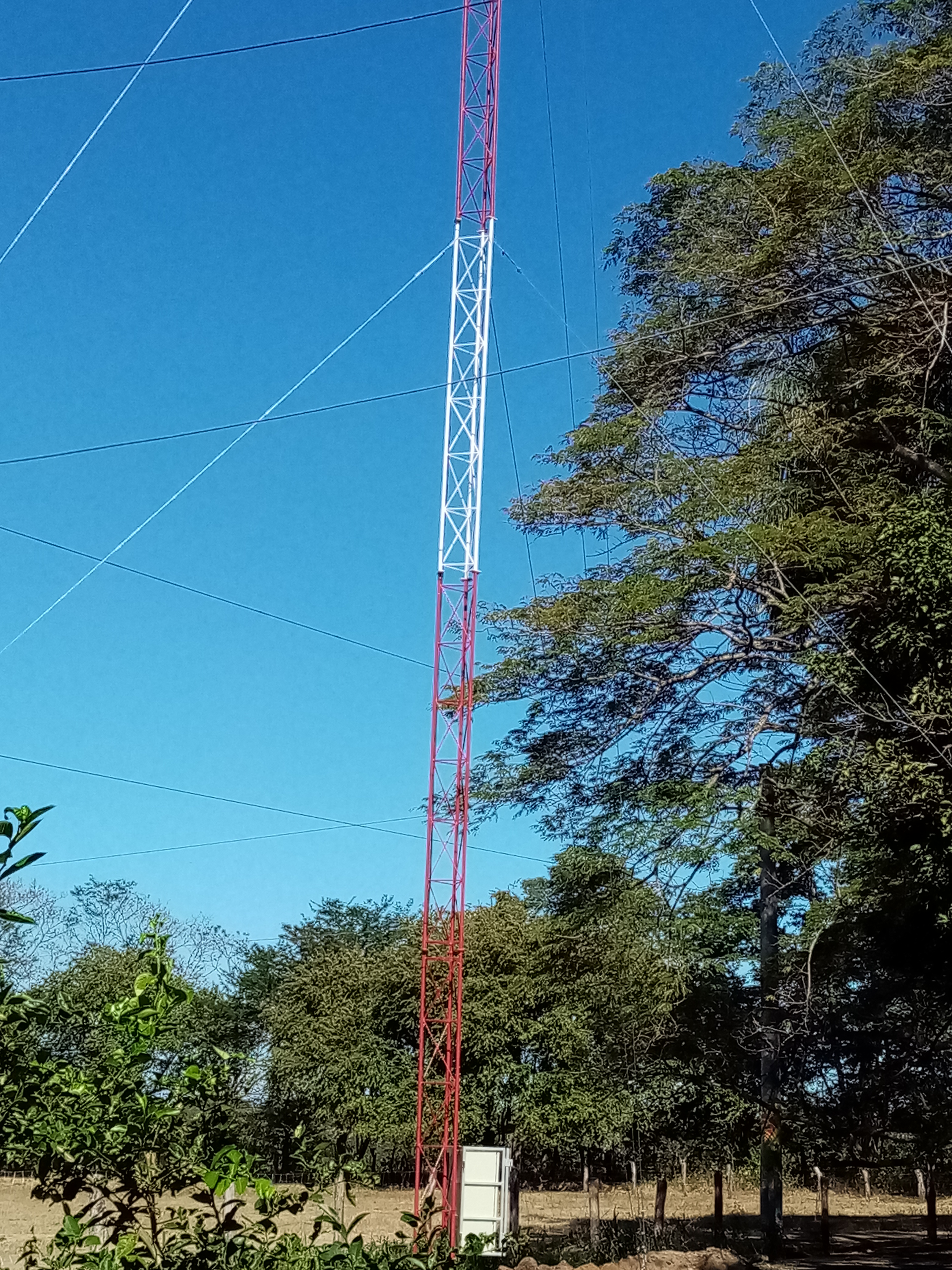 Tall communication tower, red and white, against a blue sky, surrounded by trees and power lines.