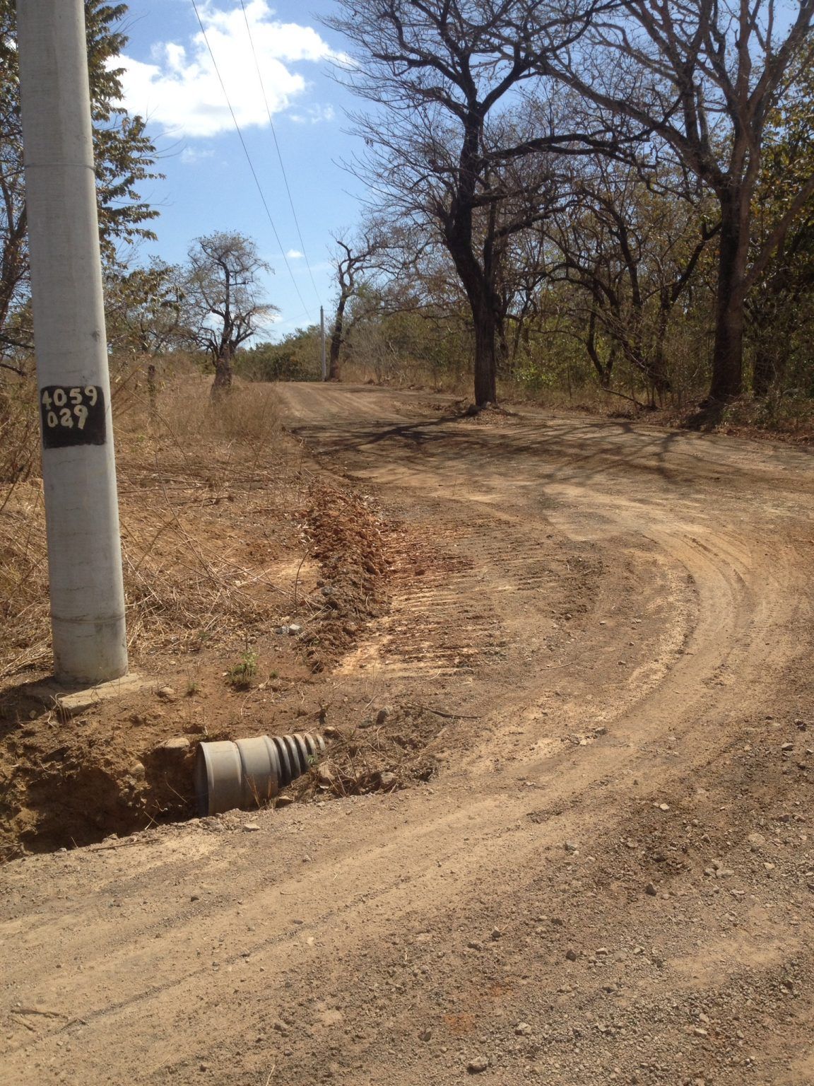 Dirt road winding through a dry, wooded area with a utility pole and culvert.