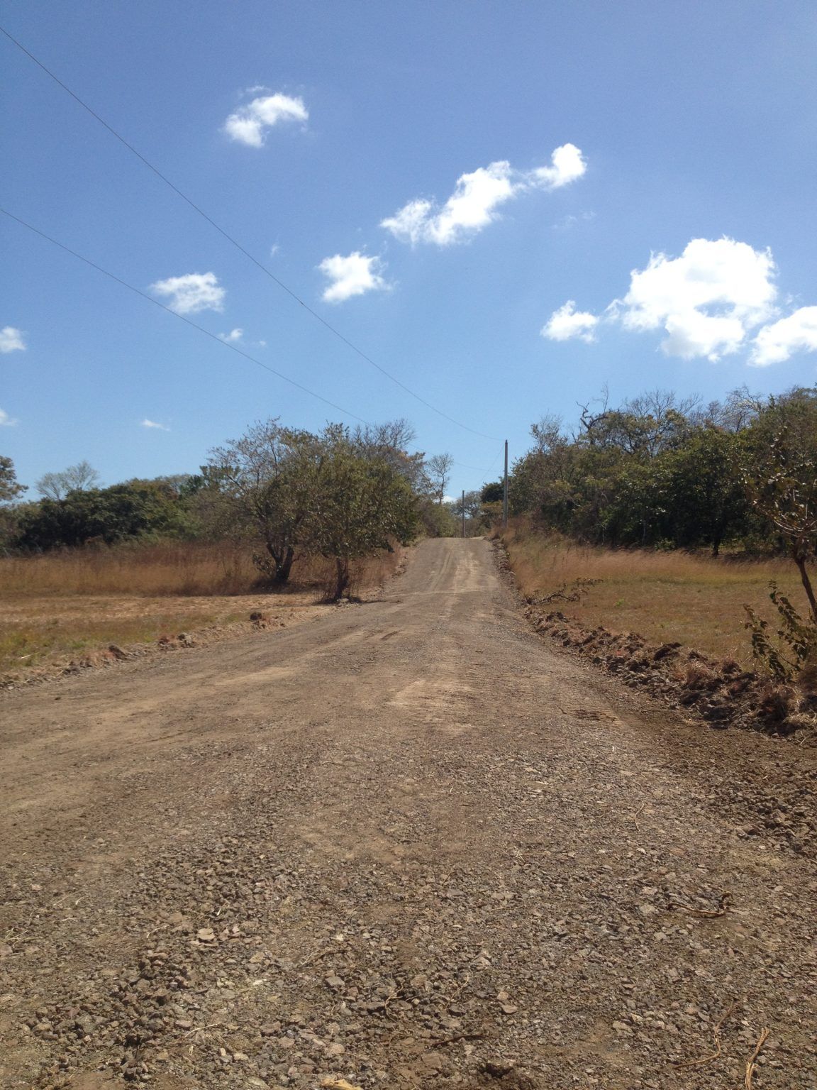 Gravel road leading uphill through dry, grassy field with trees under a blue sky with scattered clouds.
