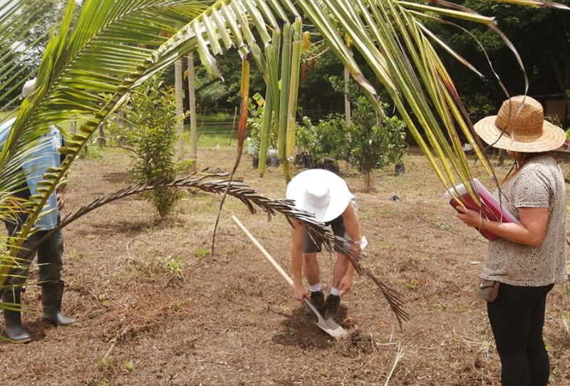 Tree Planting