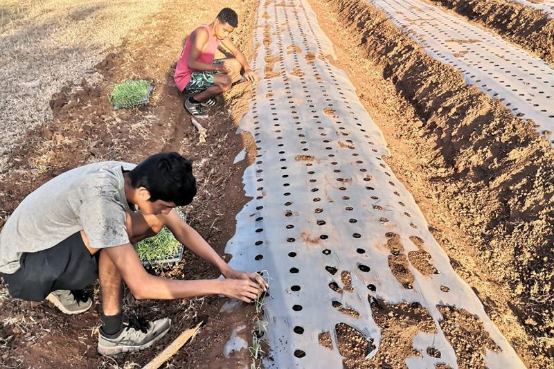 Two Man Planting