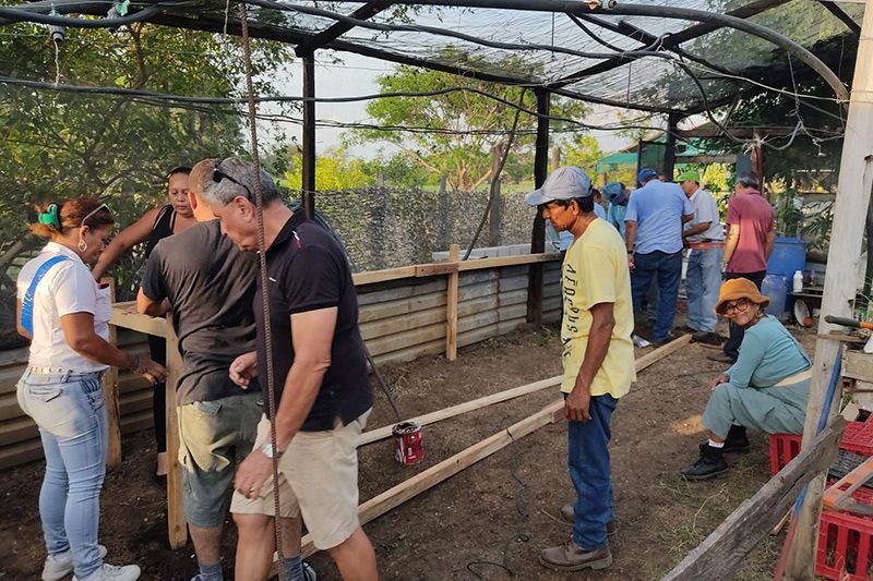 Group Of People In Farm