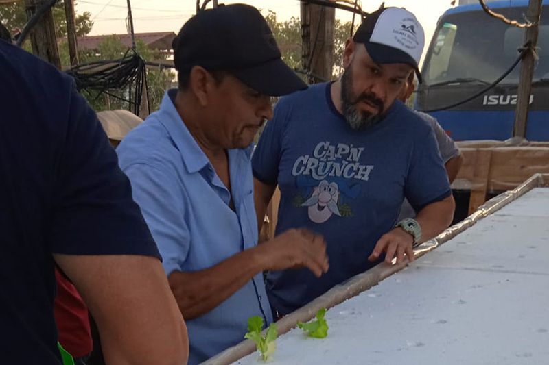 Teaching How To Plant