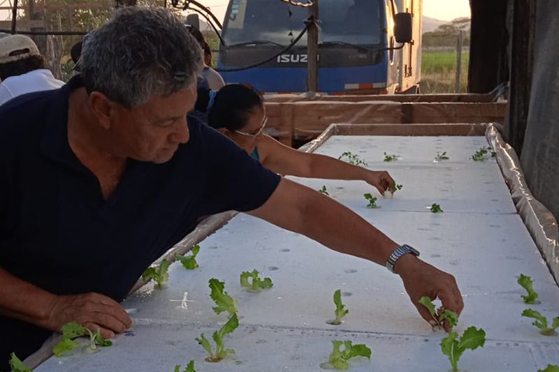 Man Planting