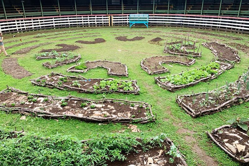 Planting Area