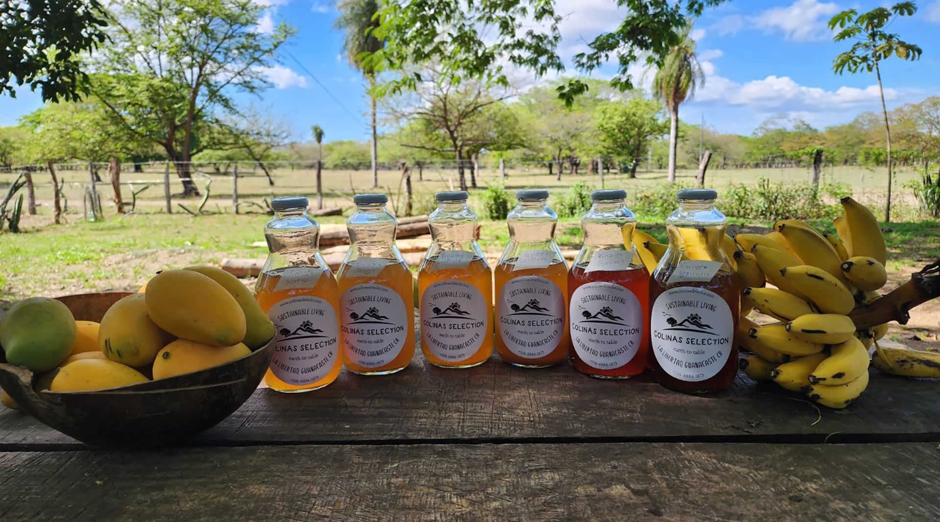 Mangoes, Farm Products And Bananas