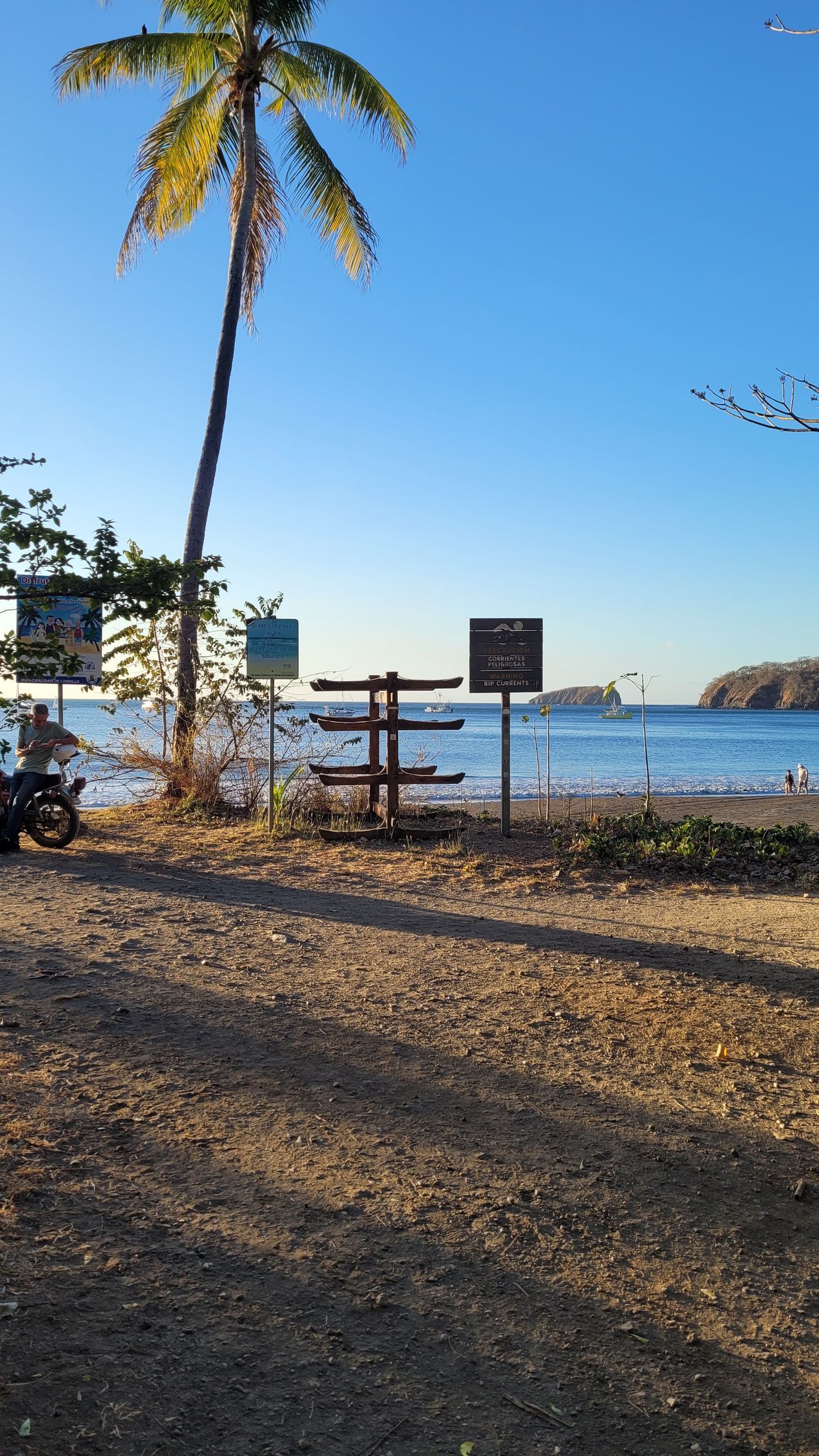 Beach scene with palm tree, signs, and kayak rack against clear blue sky.