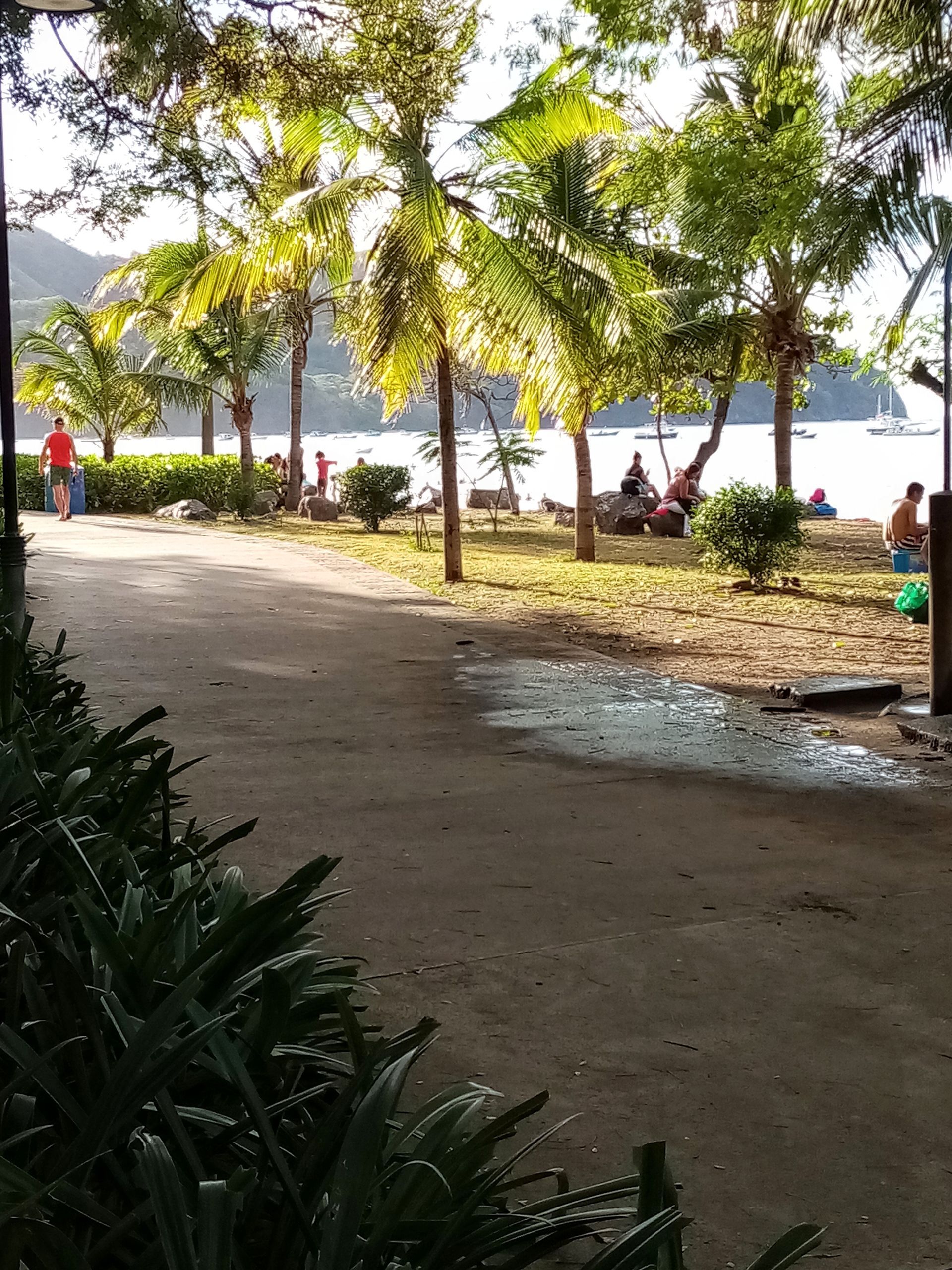 Pathway to beach with trees and people. Sunlight on water and ground.