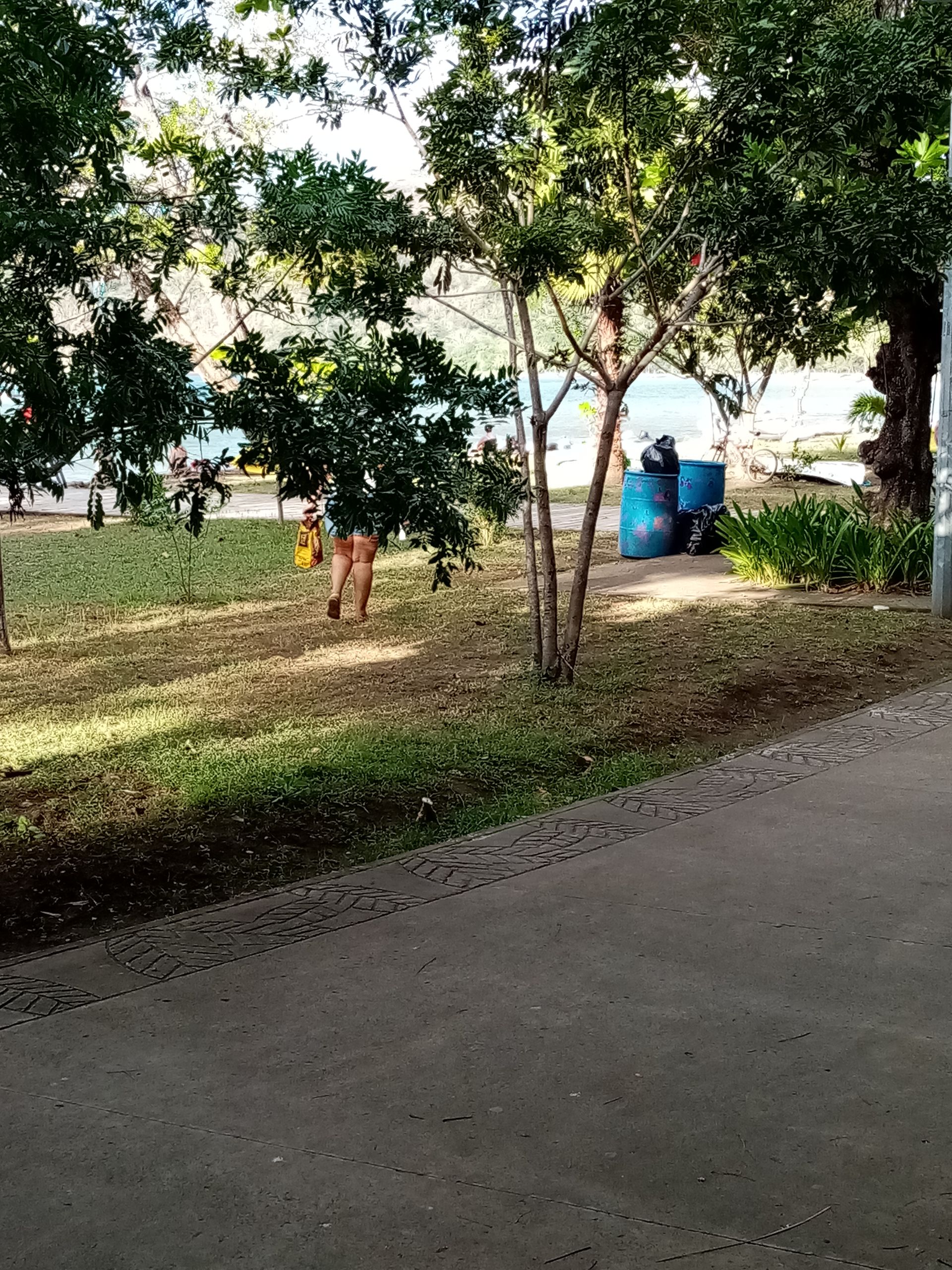 Park scene with trees, grass, and a paved path. A person walks by trees near the water.