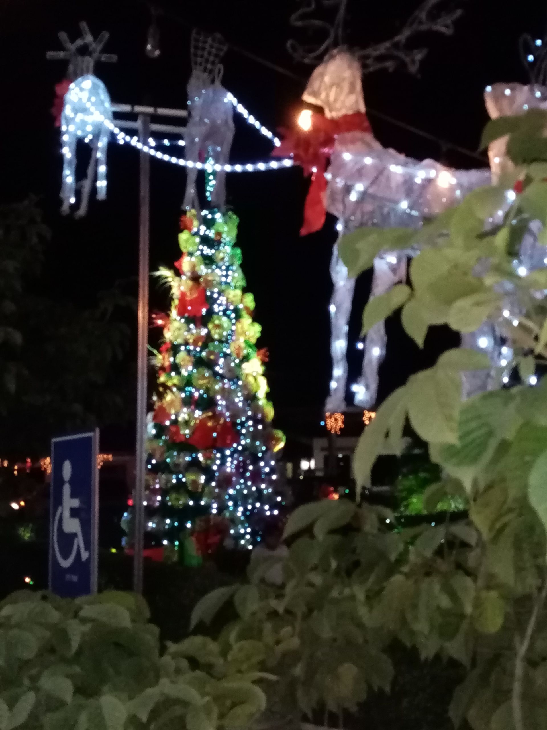Christmas decorations at night: illuminated reindeer and a decorated tree.