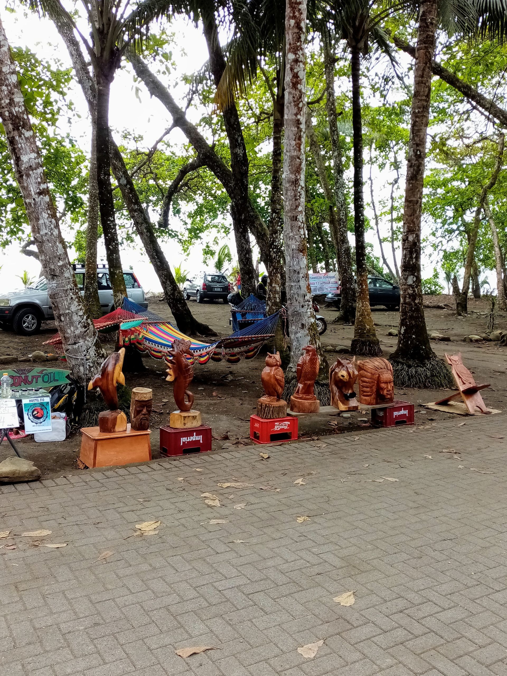 Artisan goods on display under trees, cars parked in background.