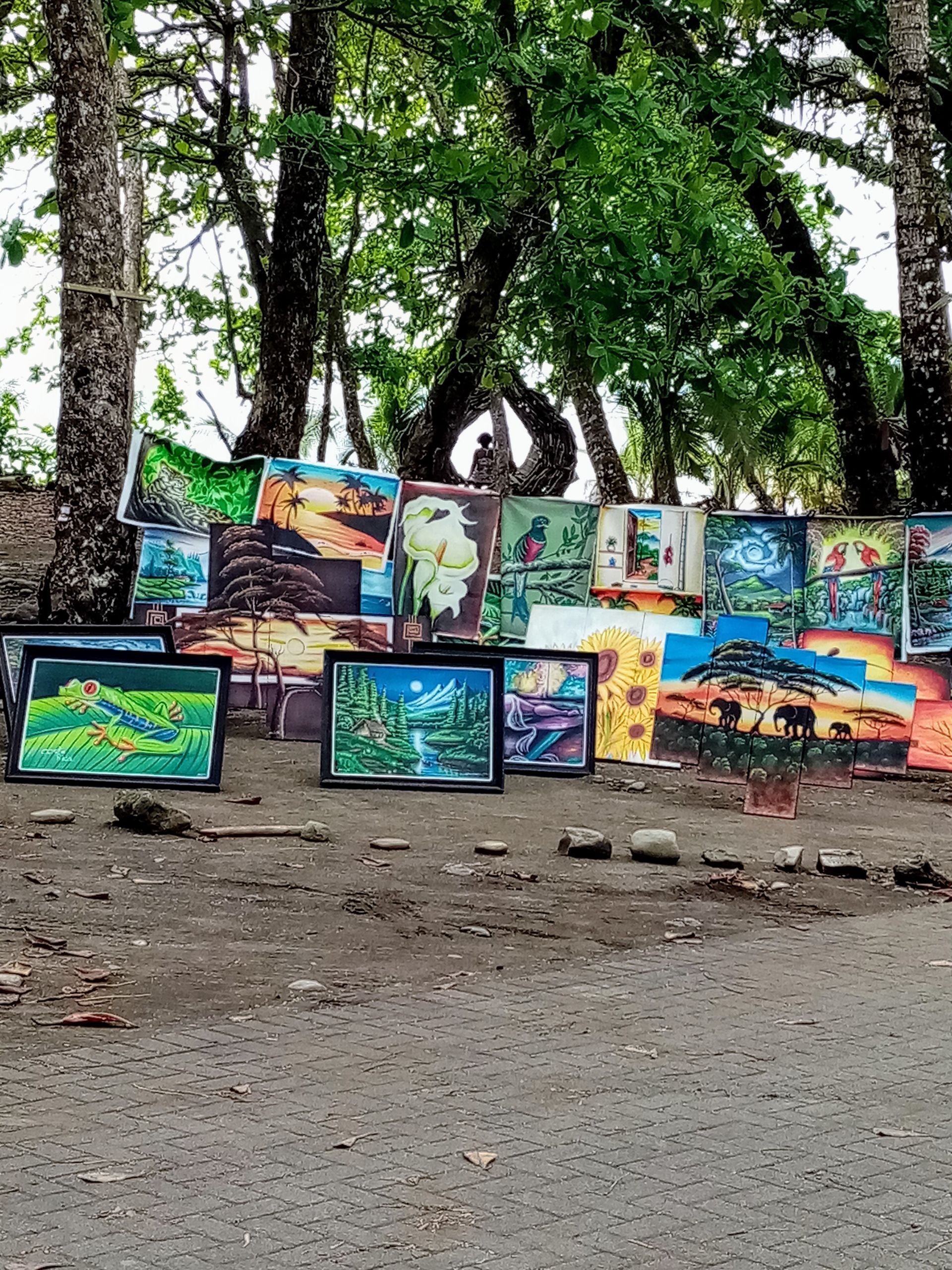 Paintings displayed outdoors, leaning against a wall beneath trees. Varied landscapes and subjects are depicted.