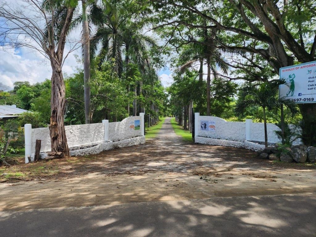 Entrance to a road lined with trees, white walls with signs, blue sky.