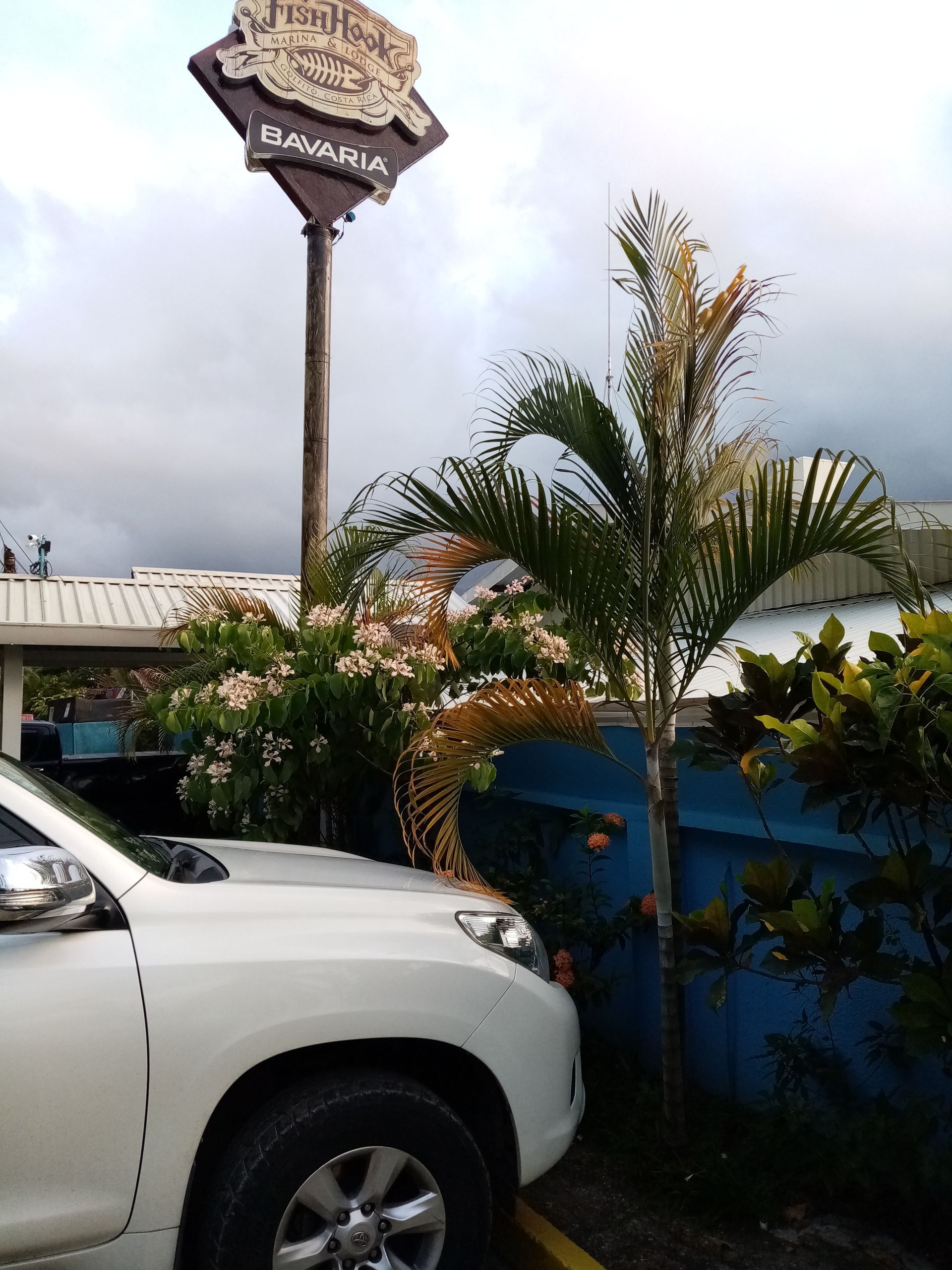 White SUV parked near a restaurant sign; brown sign, palm tree, and blue wall visible.