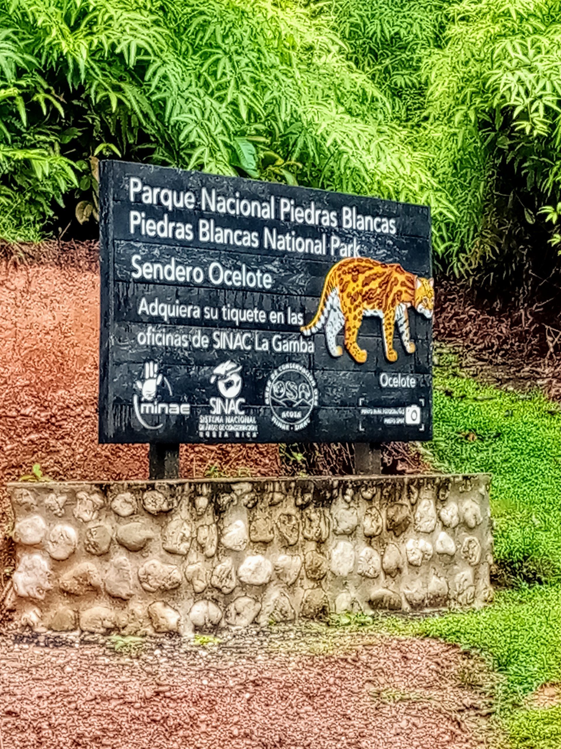 Sign for Piedras Blancas National Park, Costa Rica, with a jaguar illustration, set in a natural, green environment.