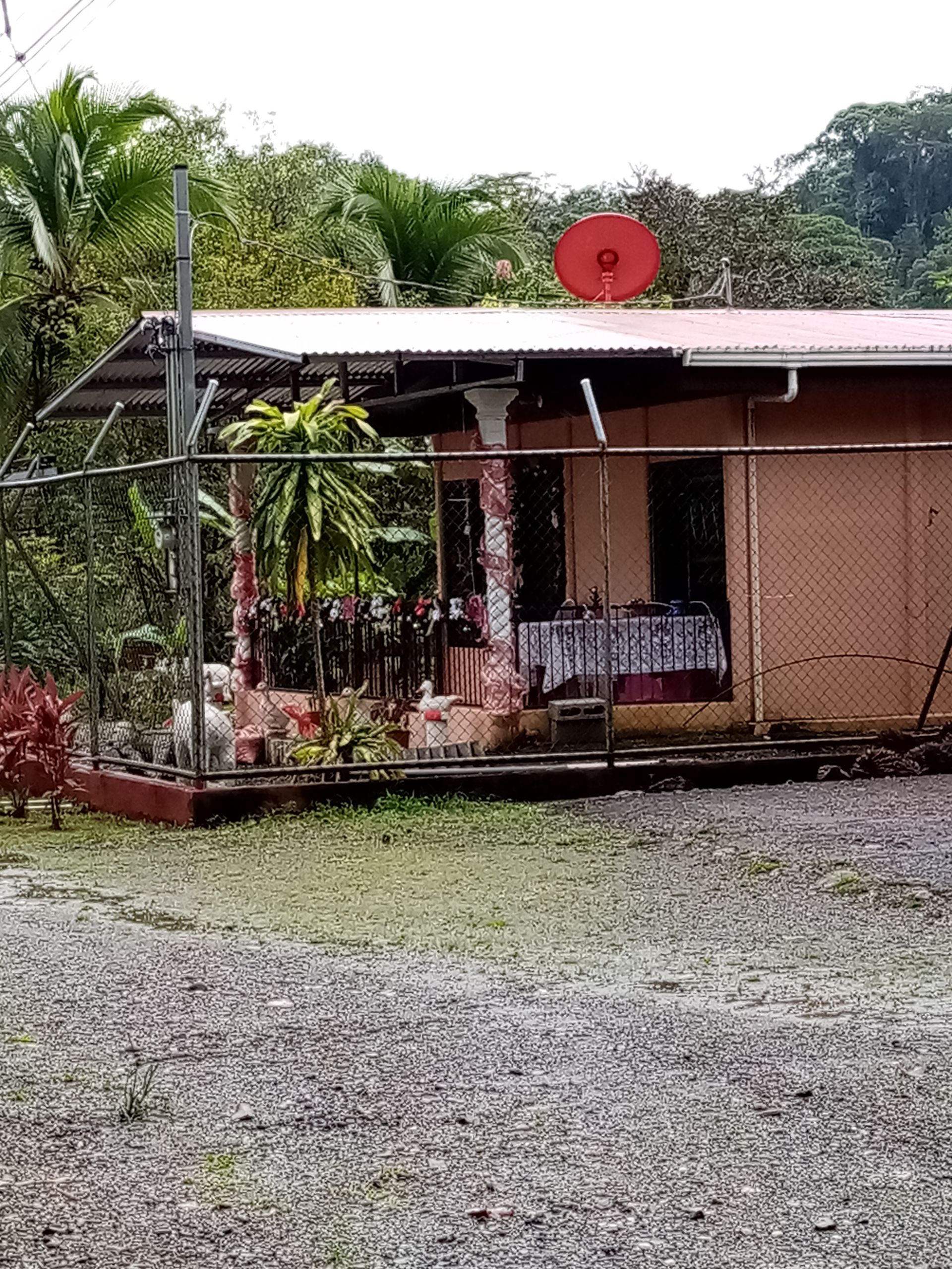 A house with a red satellite dish, surrounded by a wire fence and plants, on a gravel lot.
