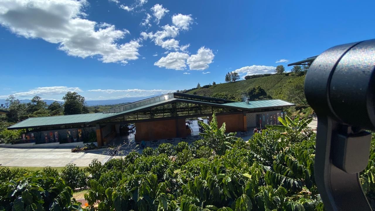 A building with a green roof surrounded by green plants under a blue sky with clouds.
