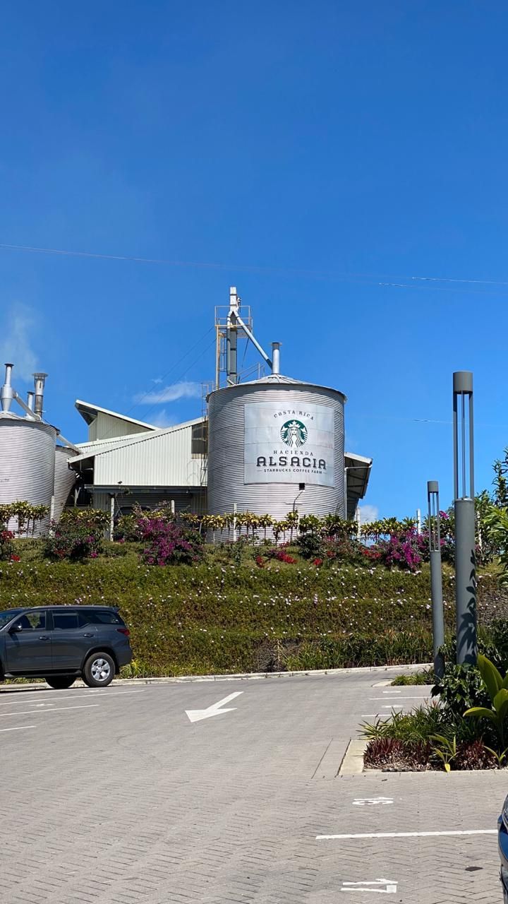 Starbucks store with silver silos and logo, surrounded by greenery, parked car, clear blue sky.