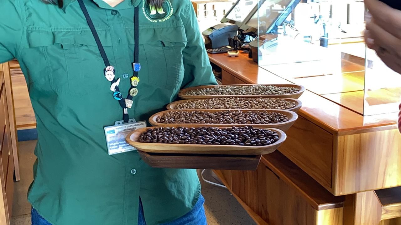 Person holding a tray with four wooden bowls of roasted coffee beans, showcasing different roasts.