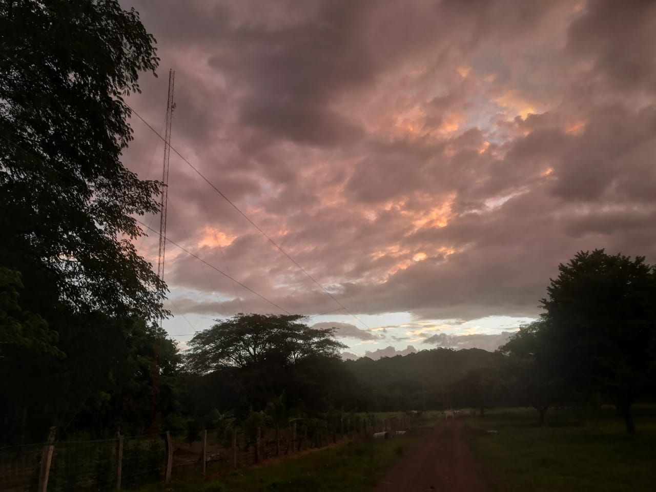 Sunset sky with dark clouds and trees framing a path.