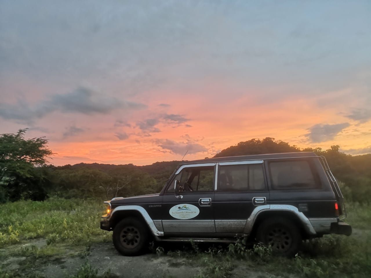 Dark SUV parked in grassy field with sunset in background.