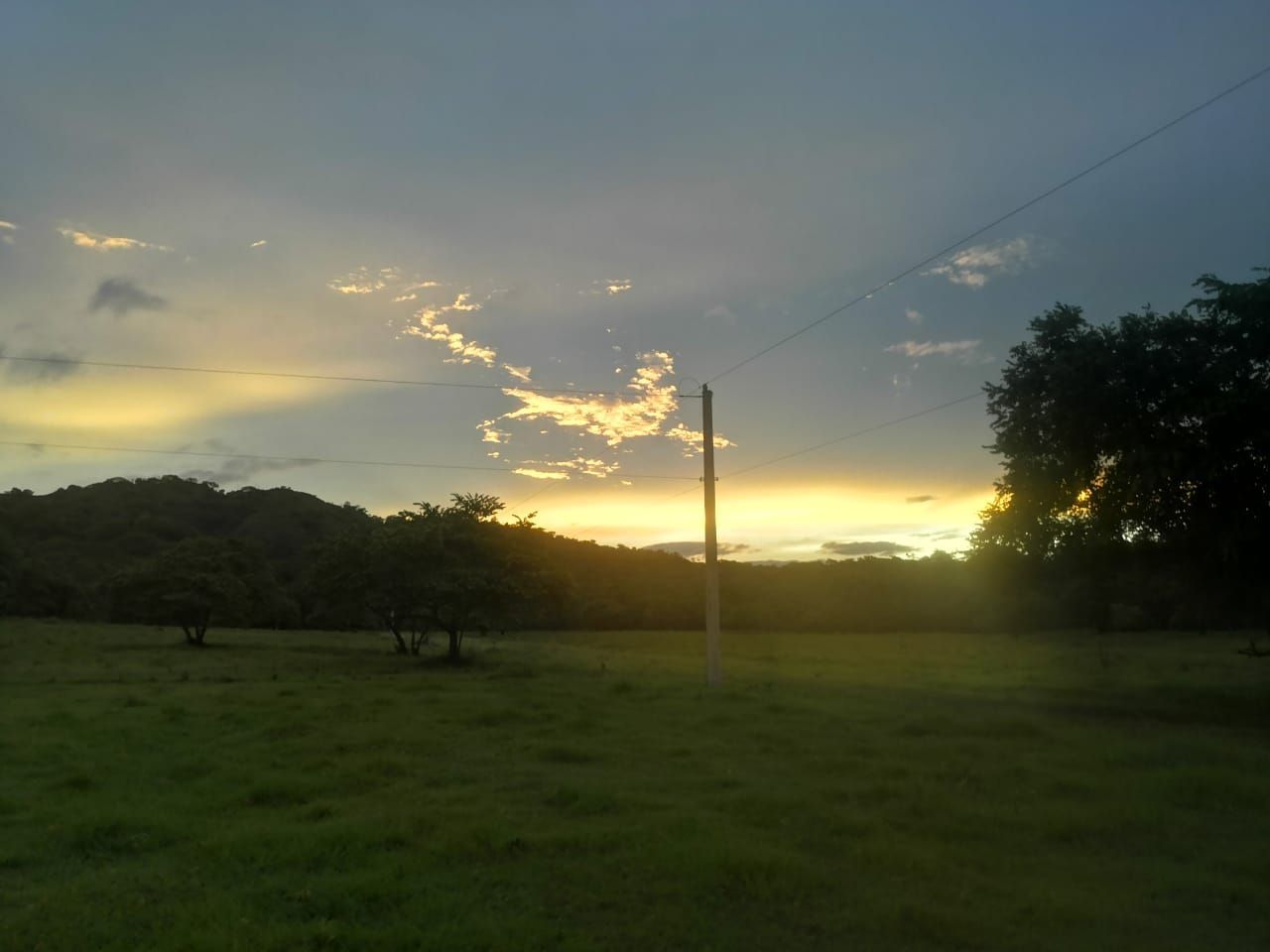 Sunset over a grassy field, with trees and a utility pole silhouetted against the colorful sky.